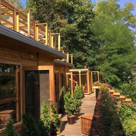 Skay Loft Bed & Breakfast Brasov Exterior photo