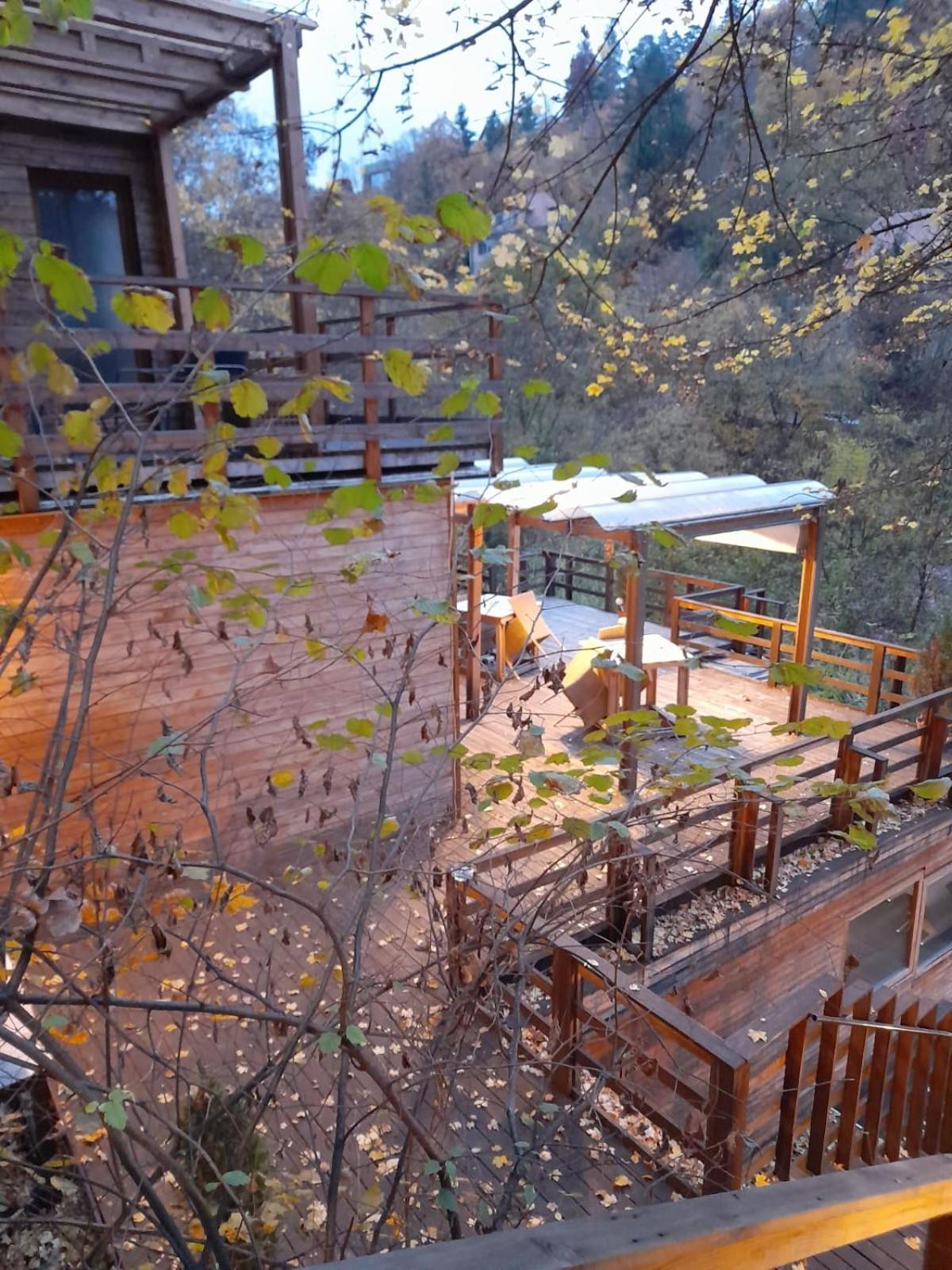 Skay Loft Bed & Breakfast Brasov Exterior photo