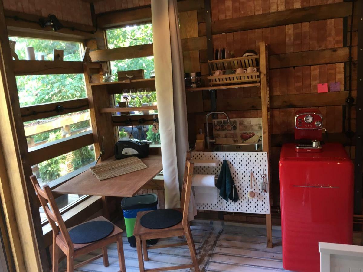 Skay Loft Bed & Breakfast Brasov Exterior photo