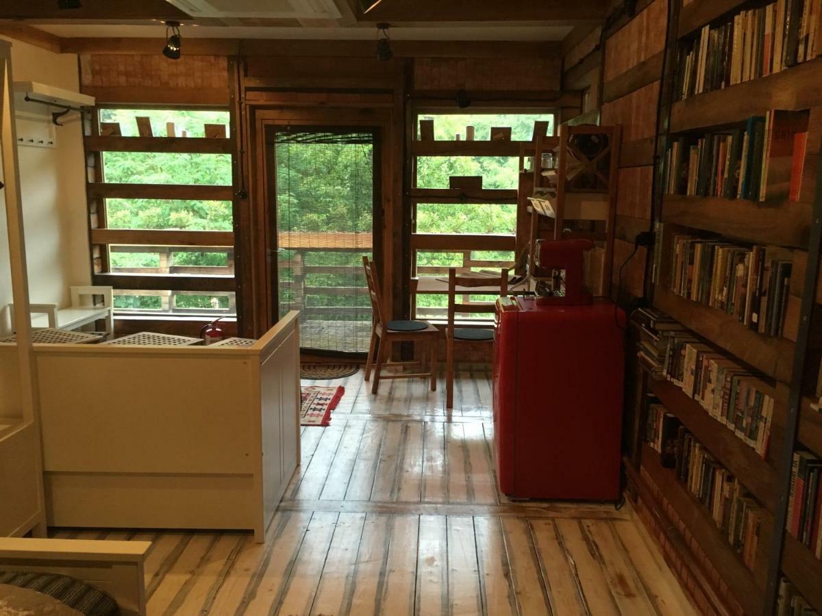 Skay Loft Bed & Breakfast Brasov Exterior photo
